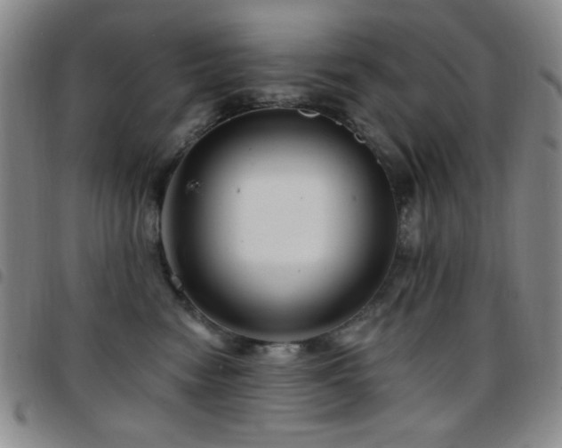 X0000097850474200803141221
