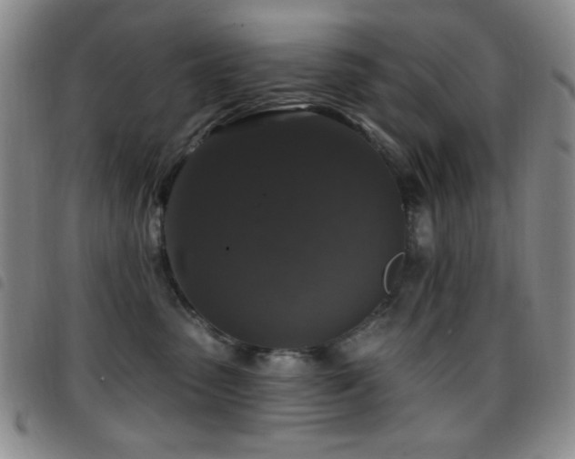 X0000097850475200803141221