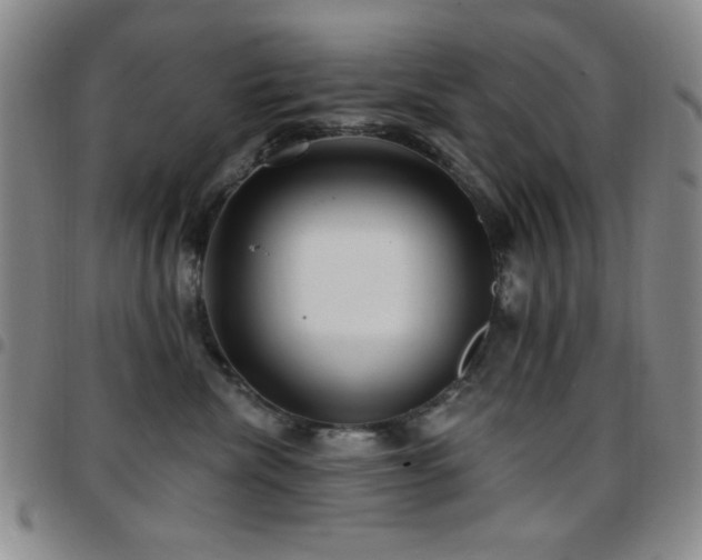 X0000097850476200803141221