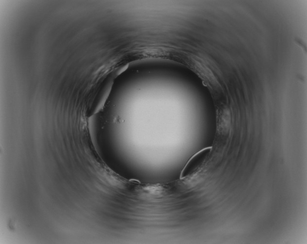 X0000097850478200803141221