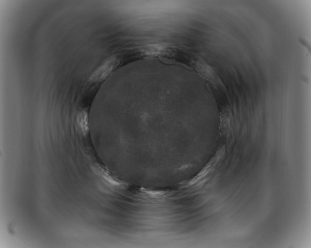 X0000097850479200803141221