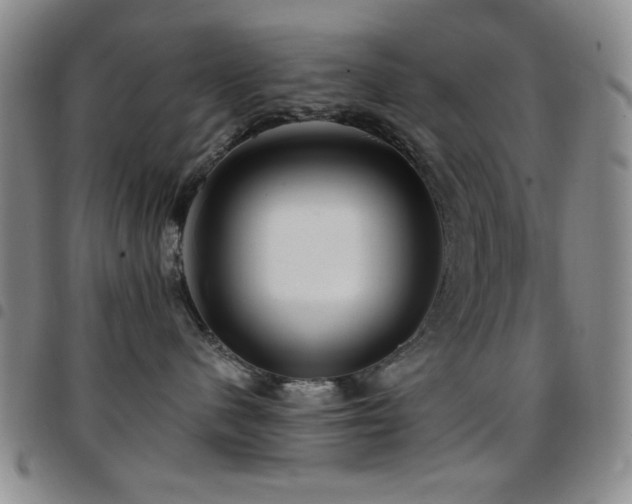 X0000097850480200803141221
