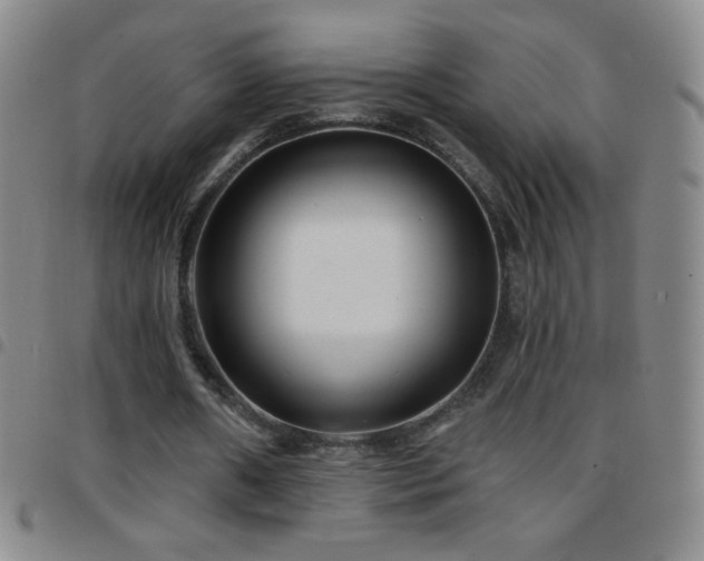X0000097850482200803141220