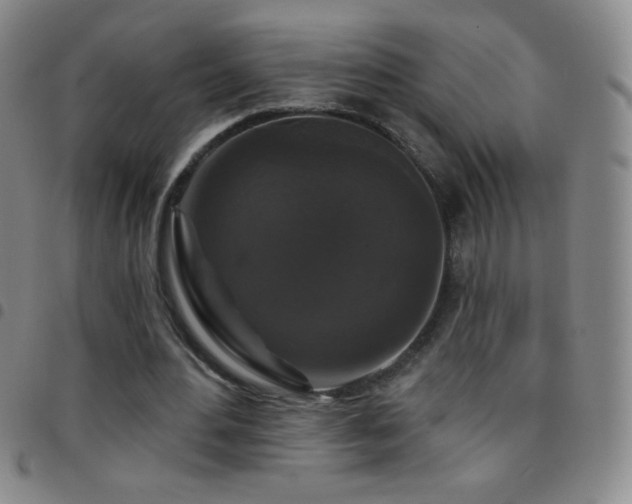 X0000097850484200803141220
