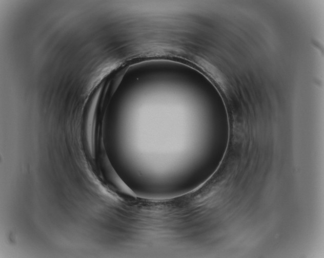 X0000097850485200803141220