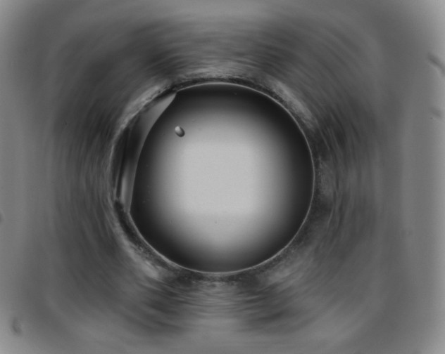 X0000097850486200803141220