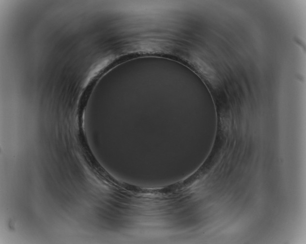 X0000097850488200803141220