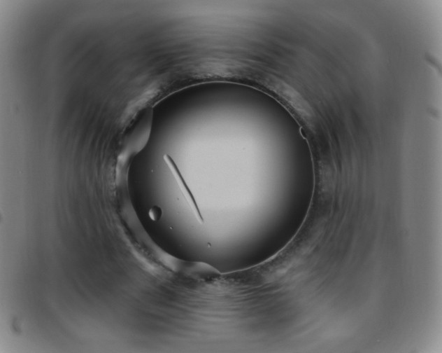 X0000097850489200803141220