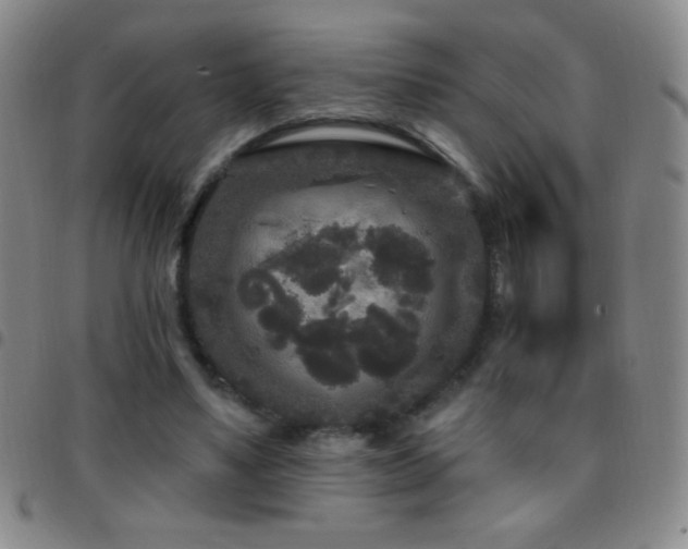 X0000097850491200803141220