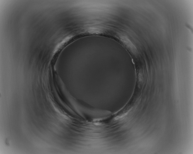 X0000097850492200803141220
