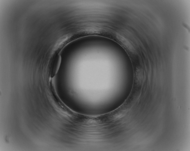 X0000097850494200803141220