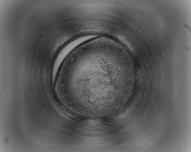 X0000097850495200803141220