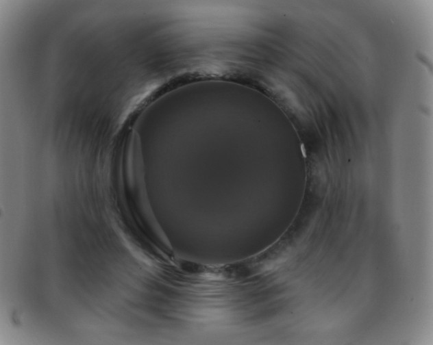 X0000097850496200803141220