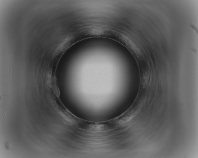X0000097850497200803141220