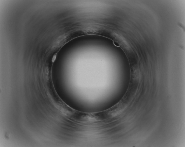 X0000097850498200803141220
