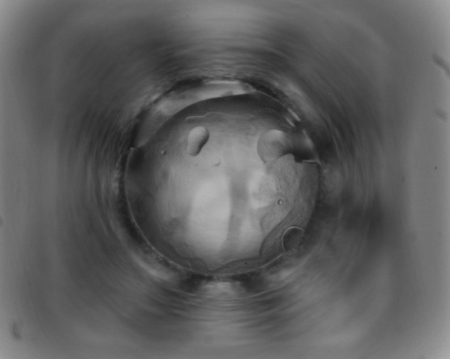 X0000097850499200803141220