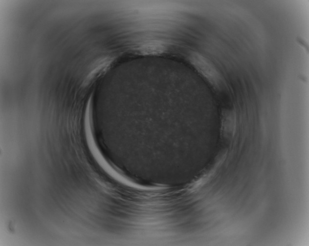 X0000097850501200803141220