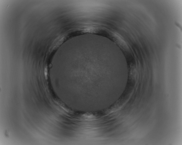 X0000097850502200803141220