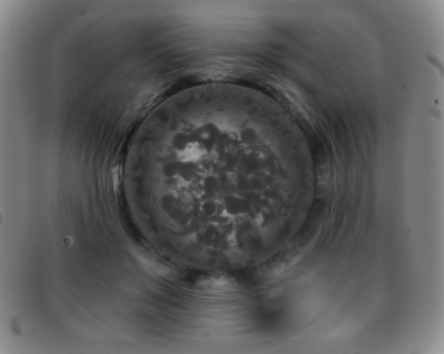 X0000097850503200803141220