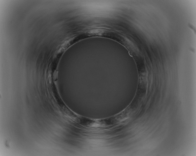 X0000097850504200803141220