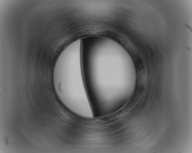 X0000097850505200803141220