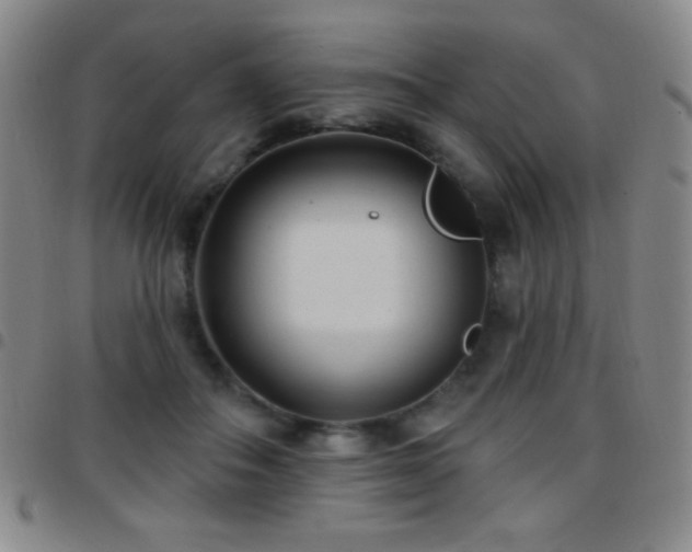 X0000097850506200803141220