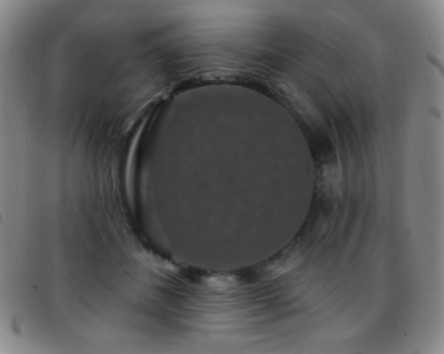 X0000097850508200803141220