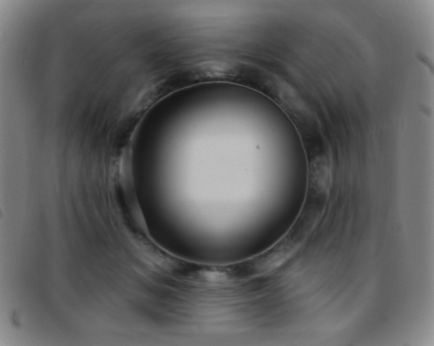 X0000097850509200803141220