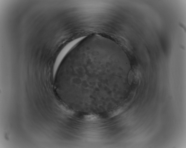 X0000097850511200803141220