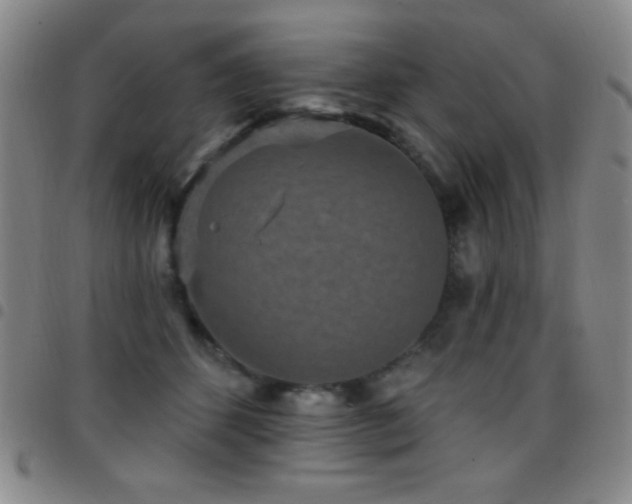 X0000097850512200803141220