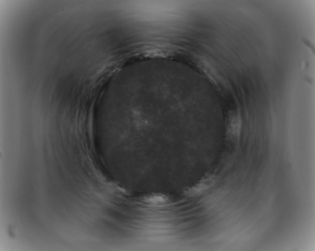 X0000097850513200803141220