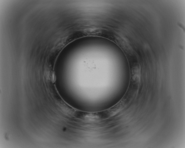X0000097850515200803141220