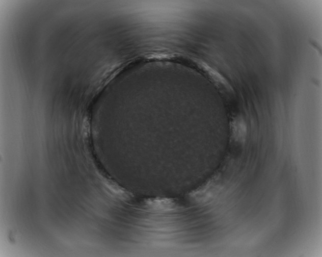 X0000097850517200803141220