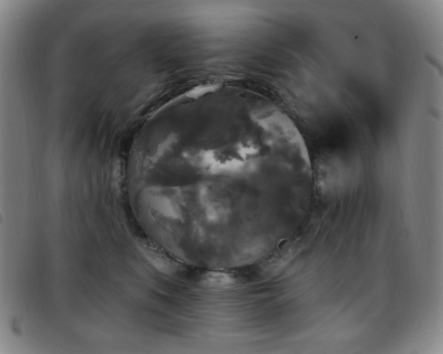 X0000097850519200803141220