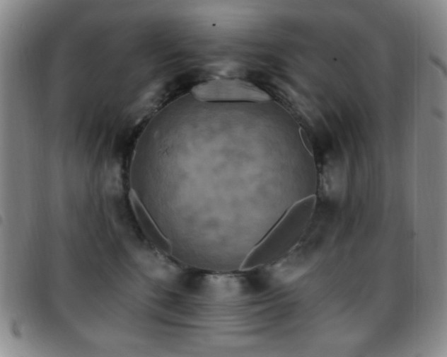 X0000097850520200803141220