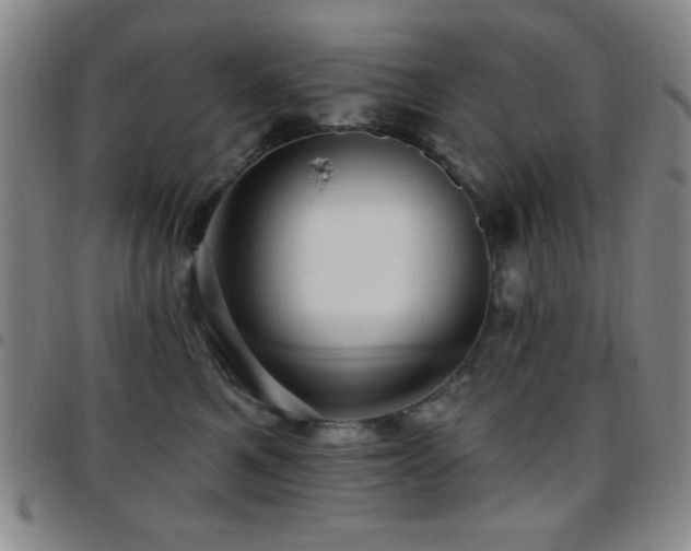 X0000097850521200803141220