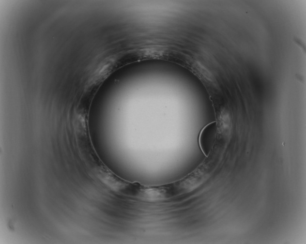 X0000097850522200803141220