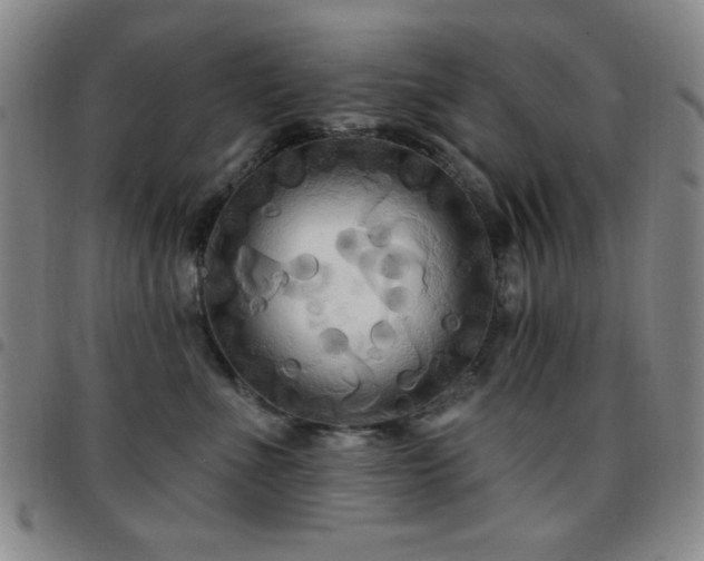 X0000097850523200803141220
