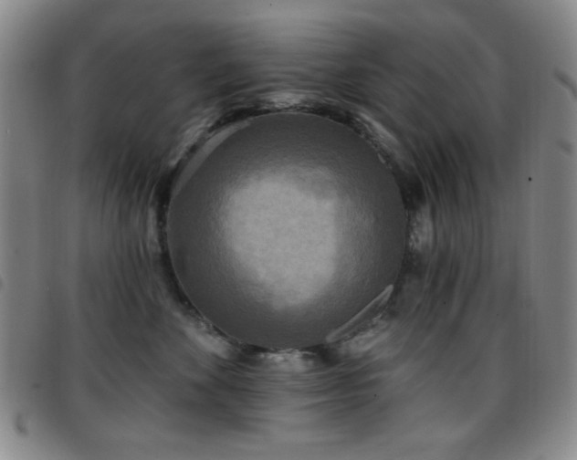X0000097850524200803141220
