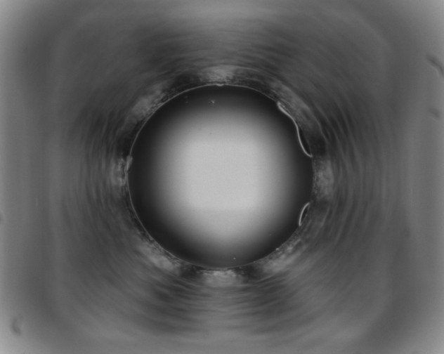 X0000097850525200803141220
