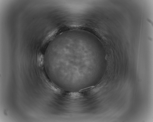 X0000097850528200803141220
