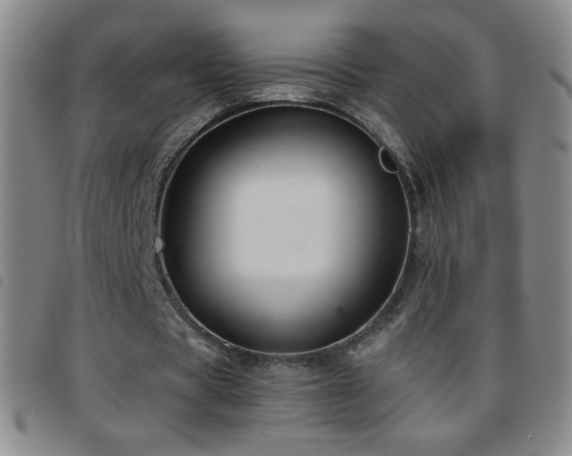 X0000097850529200803141219
