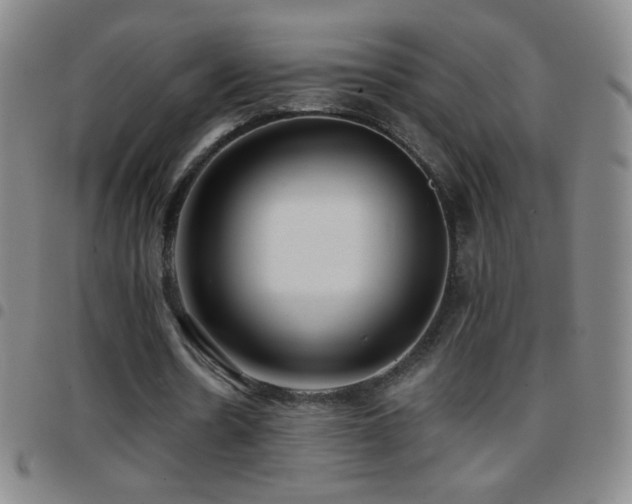 X0000097850530200803141219