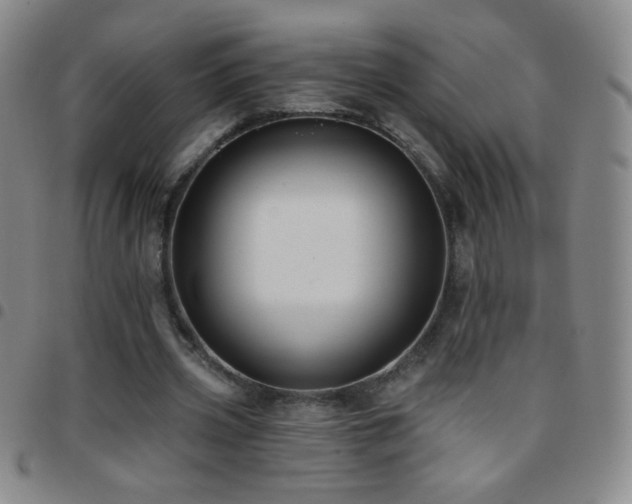 X0000097850533200803141219