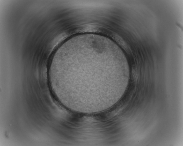 X0000097850534200803141219