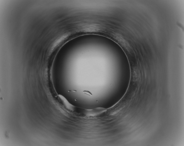 X0000097850535200803141219