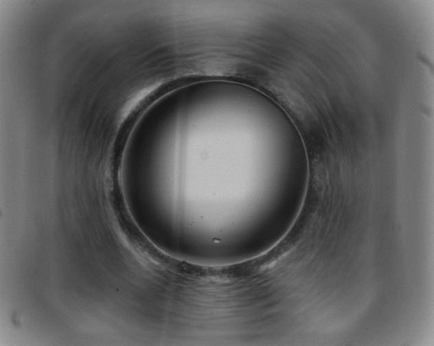 X0000097850536200803141219