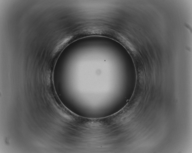 X0000097850537200803141219