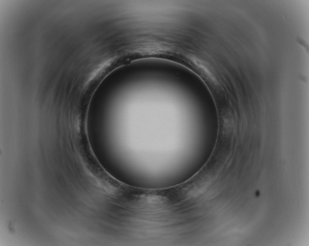X0000097850539200803141219