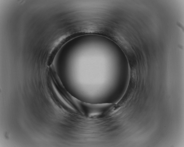 X0000097850540200803141219
